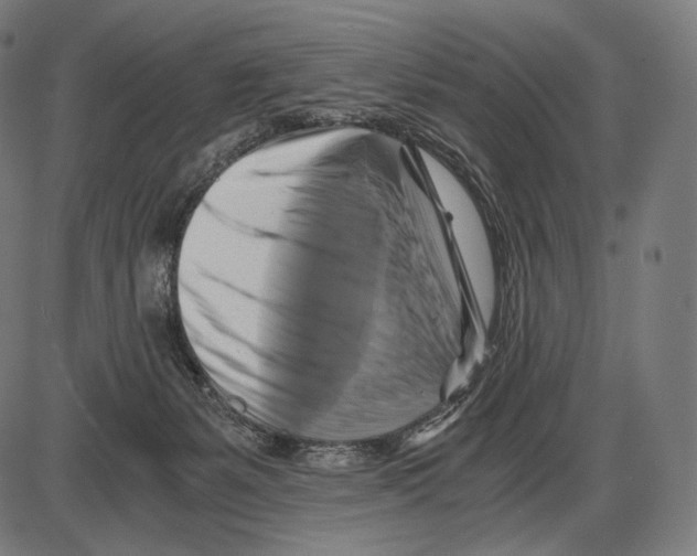 X0000084010127200703161724