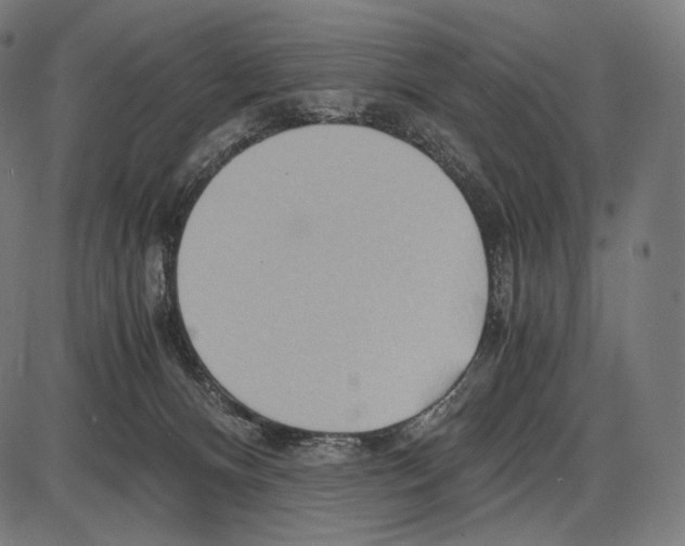 X0000084010128200703161723