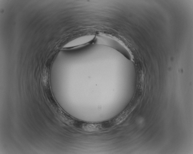 X0000084010129200703161723