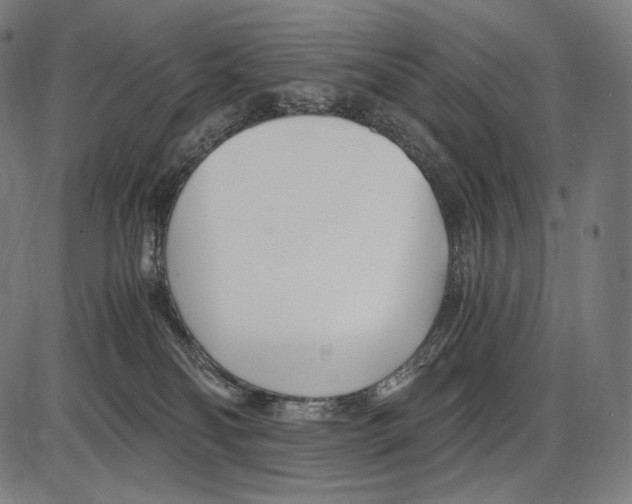 X0000084010134200703161723