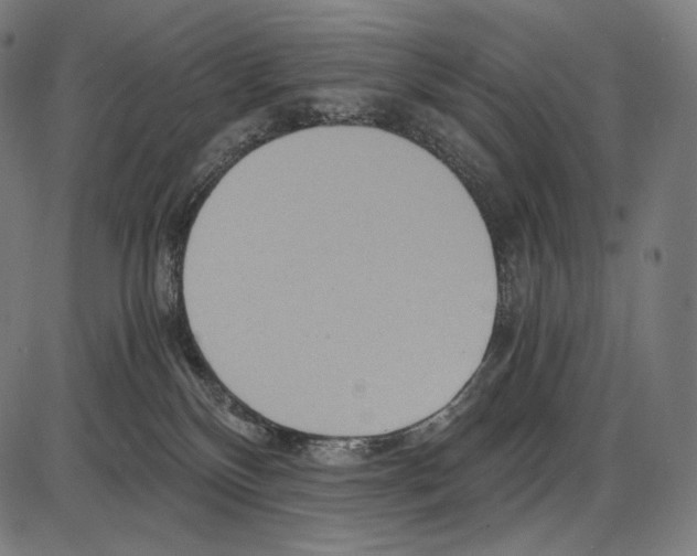 X0000084010136200703161723