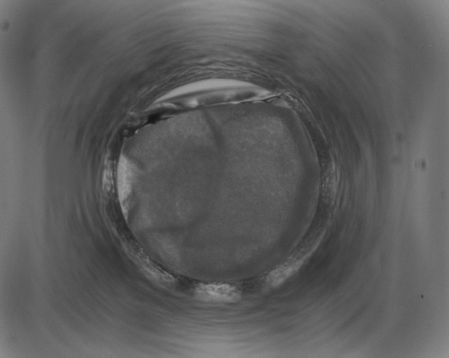 X0000084010137200703161723