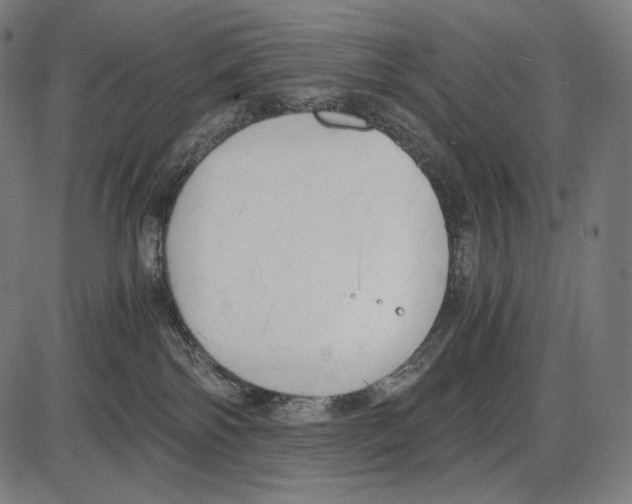 X0000084010138200703161723