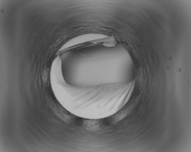 X0000084010139200703161723