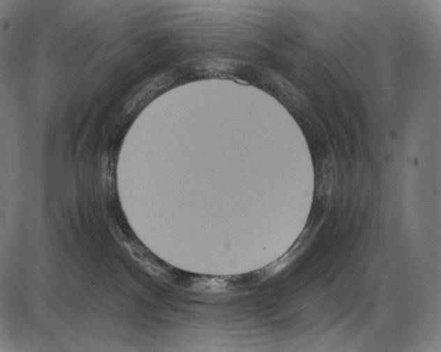 X0000084010140200703161723