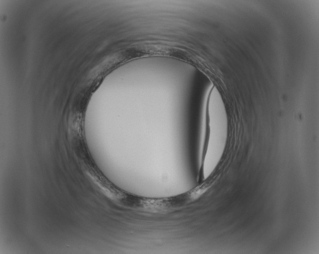 X0000084010141200703161723