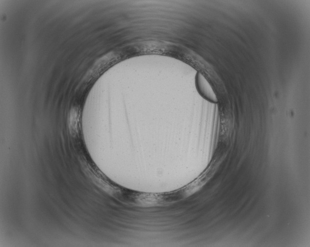 X0000084010142200703161723