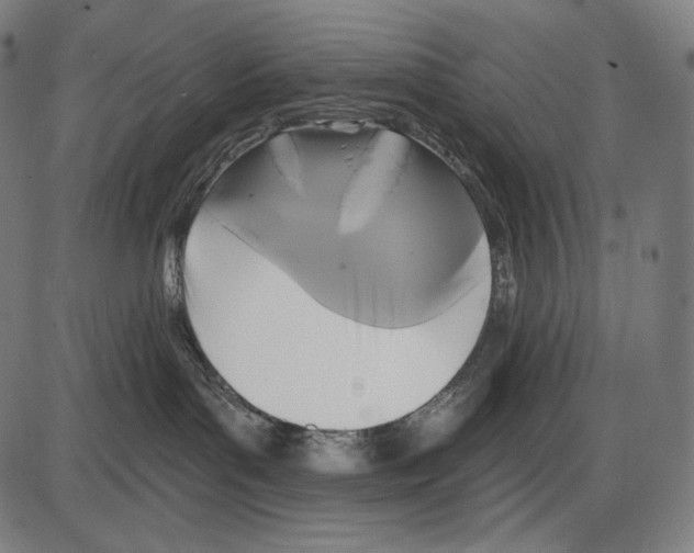 X0000084010143200703161723