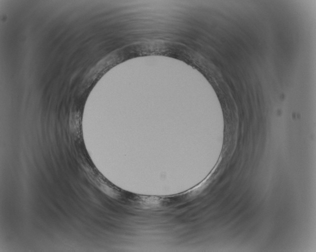 X0000084010144200703161723