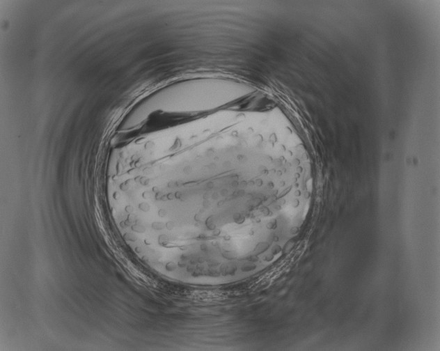 X0000084010145200703161722