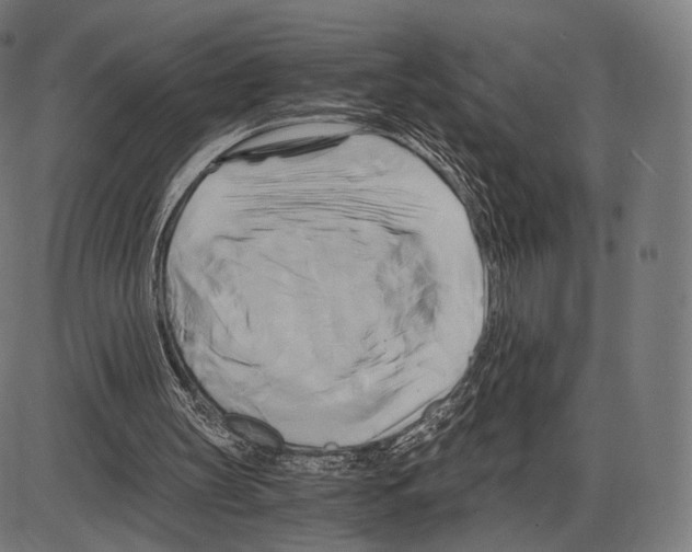 X0000084010147200703161722