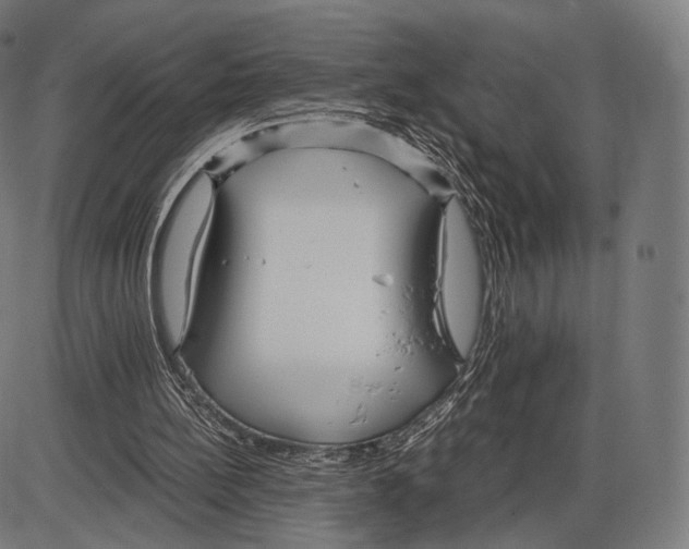 X0000084010148200703161722