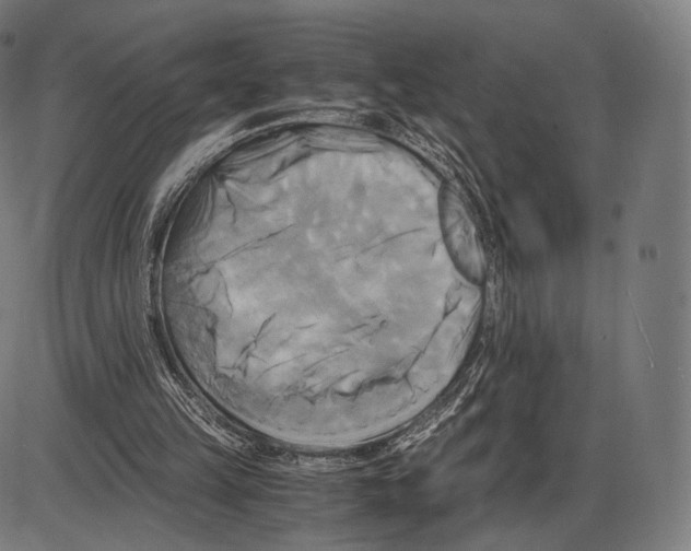 X0000084010149200703161722