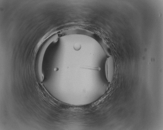 X0000084010150200703161722