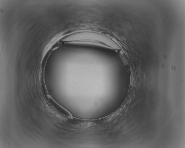 X0000084010152200703161723