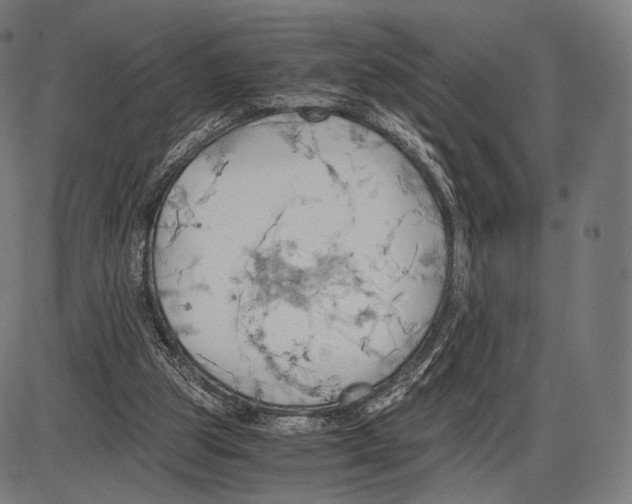 X0000084010153200703161723