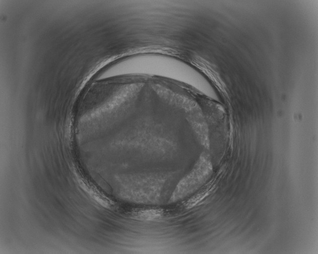 X0000084010156200703161723