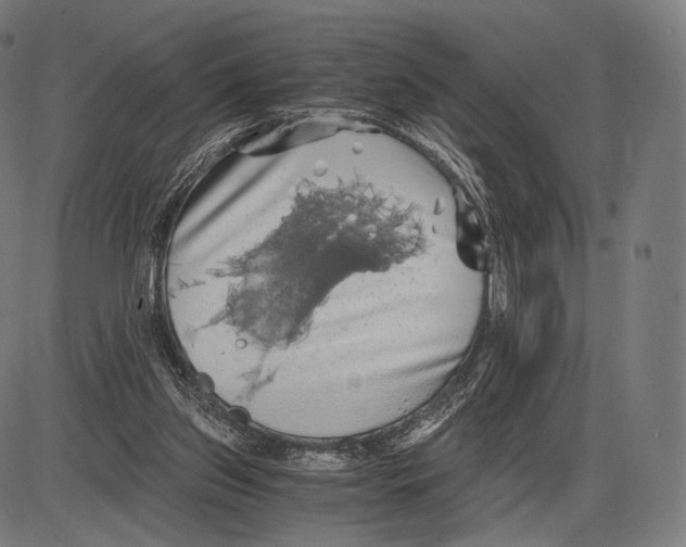 X0000084010157200703161723