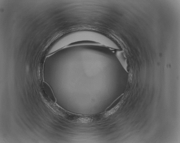 X0000084010158200703161723