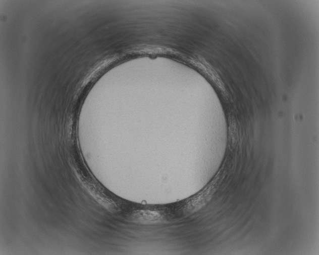 X0000084010159200703161723