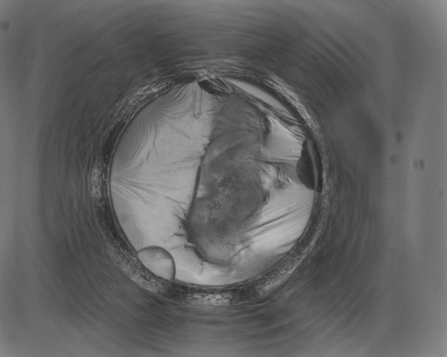 X0000084010161200703161723