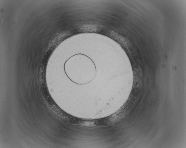 X0000084010162200703161723