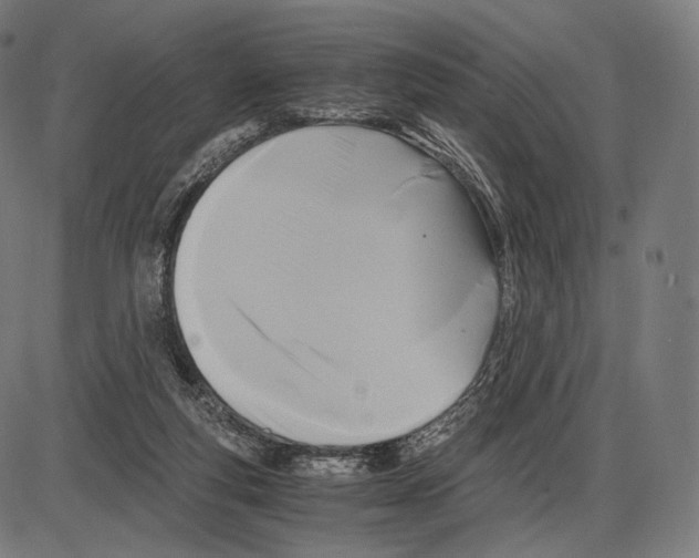 X0000084010163200703161723