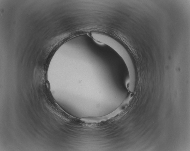 X0000084010164200703161723