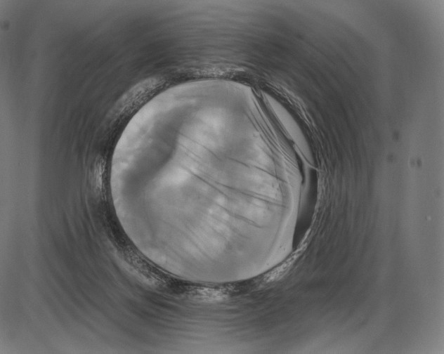 X0000084010166200703161723