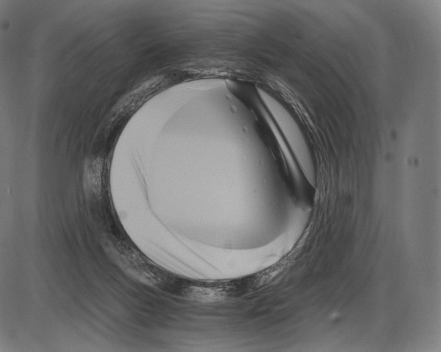 X0000084010167200703161723