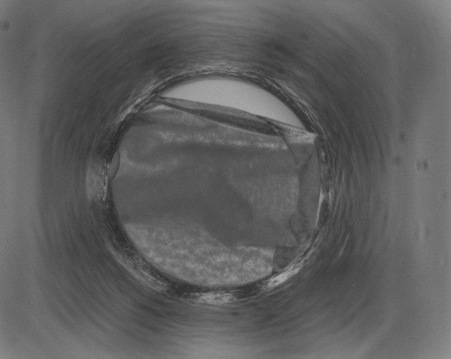 X0000084010168200703161723