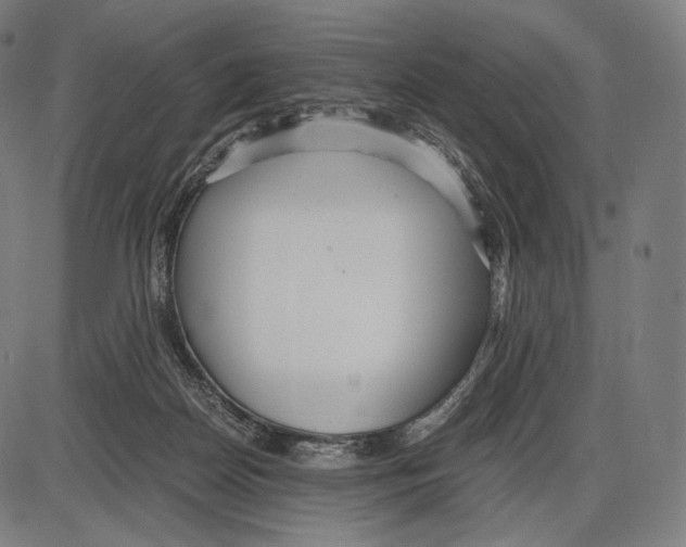 X0000084010170200703161723