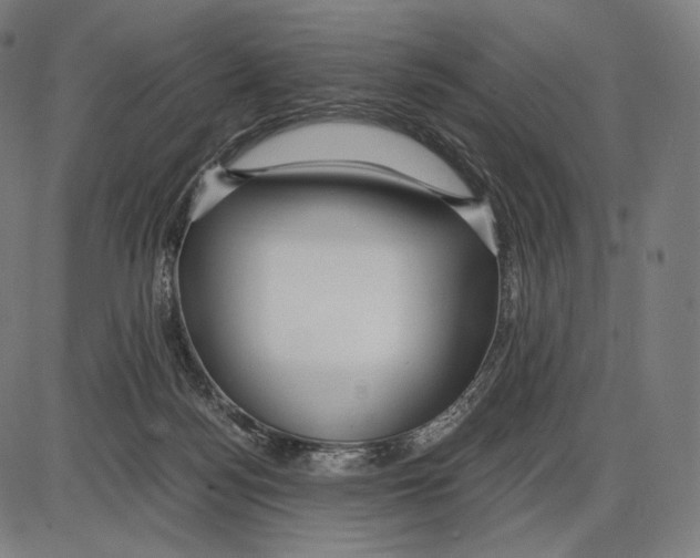 X0000084010172200703161723