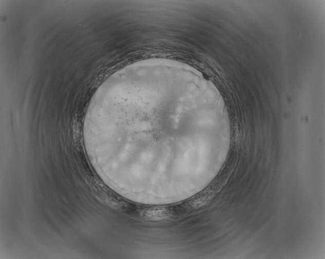 X0000084010173200703161723