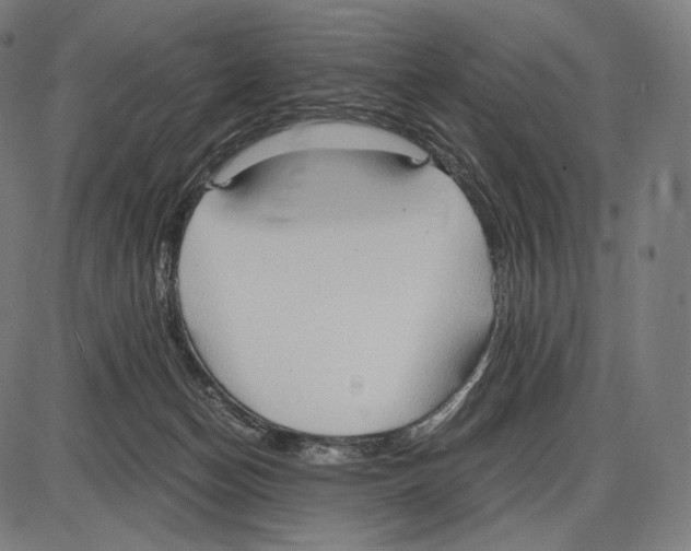 X0000084010174200703161723