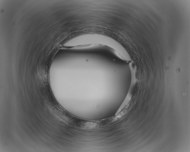 X0000084010176200703161723