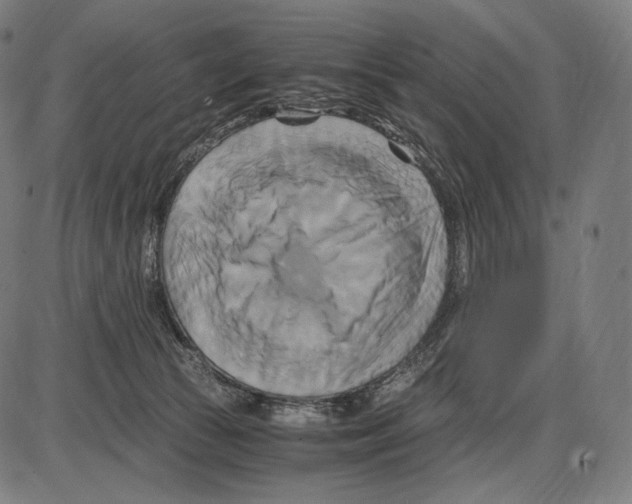 X0000084010177200703161723