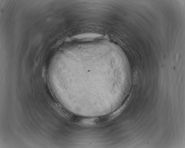 X0000084010178200703161723