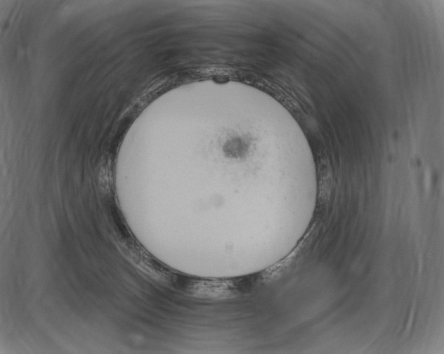 X0000084010179200703161723