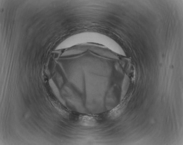 X0000084010180200703161723