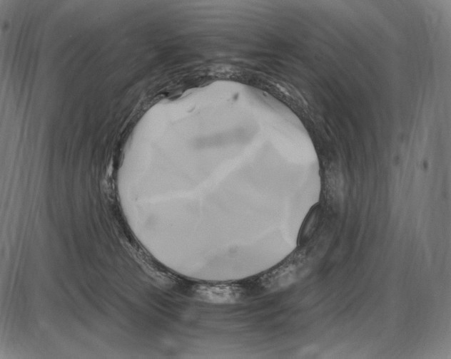 X0000084010181200703161723