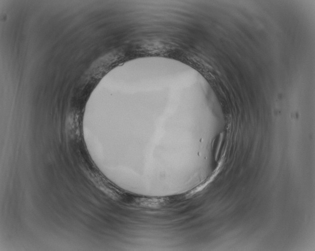 X0000084010182200703161723