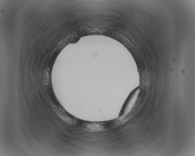 X0000084010183200703161723