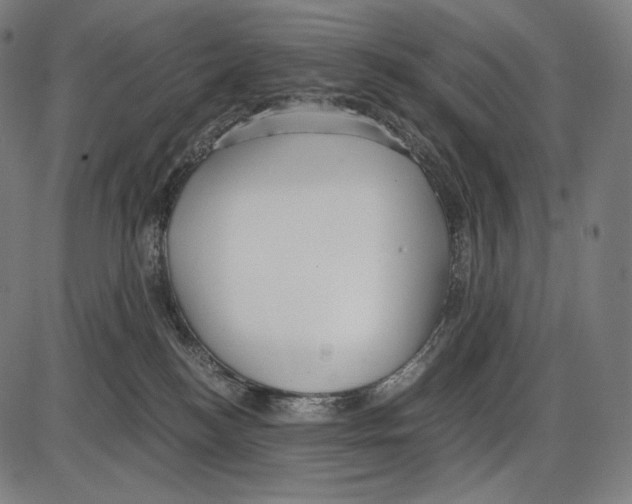 X0000084010184200703161723