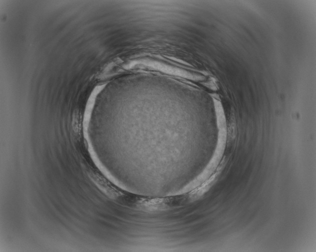 X0000084010186200703161723