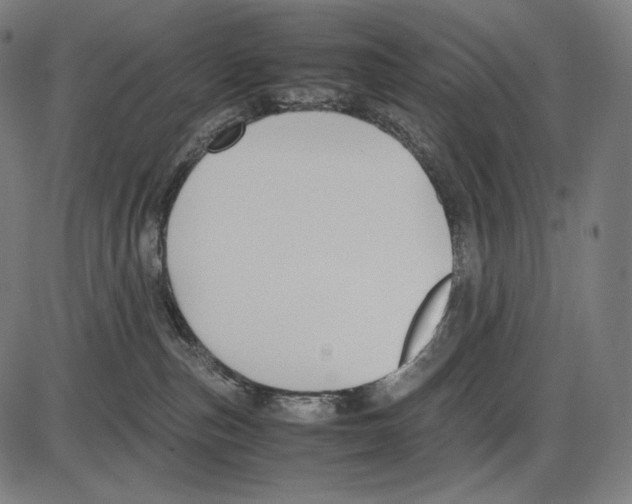 X0000084010187200703161723