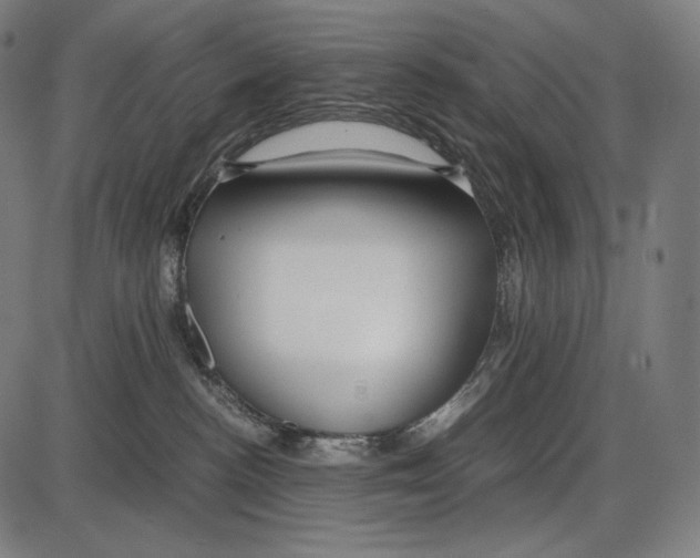 X0000084010188200703161723