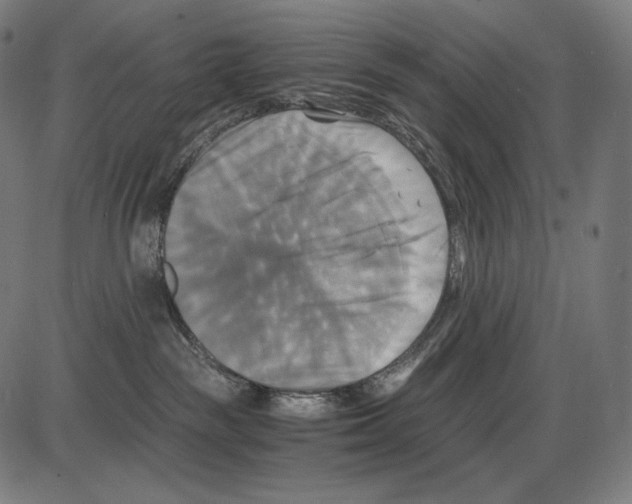 X0000084010189200703161723