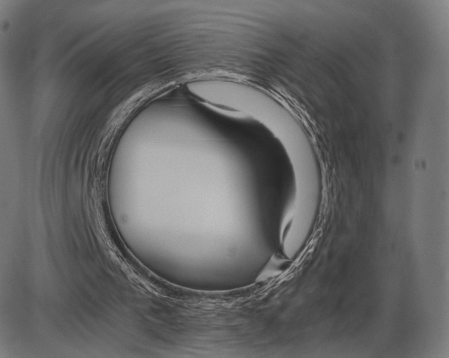 X0000084010193200703161722