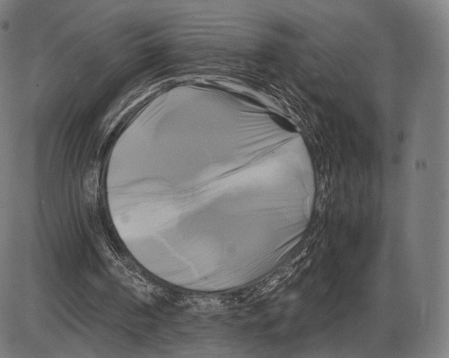 X0000084010194200703161722